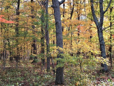 Lot 17 103rd St, Bone Lake, WI 54837 - photo 6