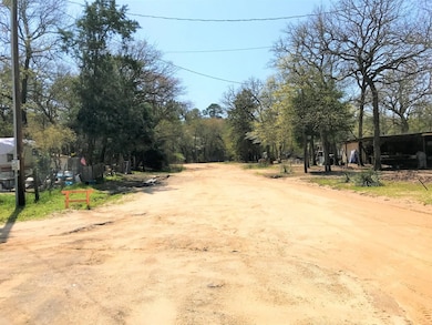 Lot 504 Walnut Ln, Mineola, TX 75773 - photo 4