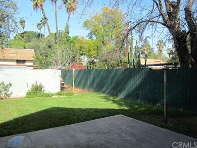 Patio and Back Yard (View from back side of the bu