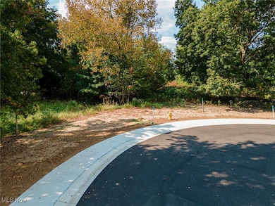 Lot 1 Country Club Dr, Coshocton, OH 43812 - photo 6