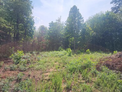 0 Mill Pond Ln unit 360986, Concord, VA 24538 - photo 3