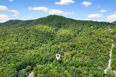 100 Comet Falls Trail unit 235, Black Mountain, NC 28711 - photo 7