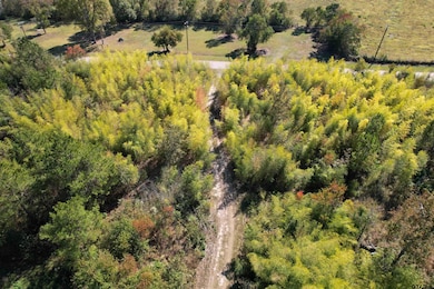 456 Marshall Ivy Rd, Huntington, TX 75949 - photo 6