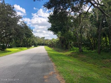 Tree Lined Road