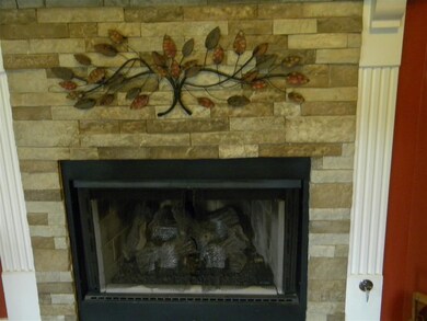 With Gas Logs