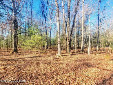 15 Penn Dr, Towamensing Township, PA 18235 - photo 5