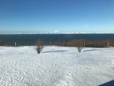 View from the livingroom