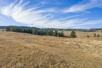 Lot 6 & 7 Mineral Ln unit TBD Mineral Lane, West Pennington, SD 57745 - photo 7