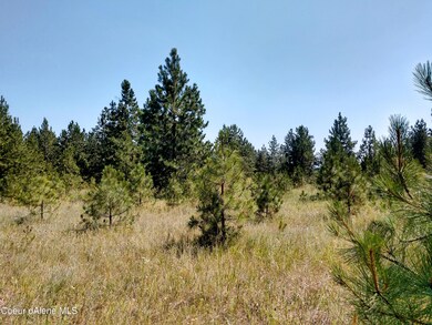 L2B1 N Sheep Springs Rd, Athol, ID 83801 - photo 5