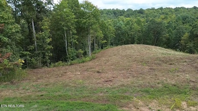 0 Higby Pvt Rd, Robbins, TN 37852 - photo 6