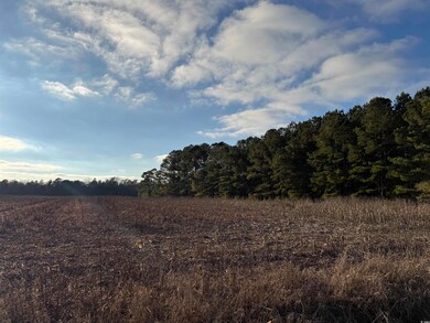 TBD Thomas Dr unit TBD Corbet Ln., Kingstree, SC 29556 - photo 3