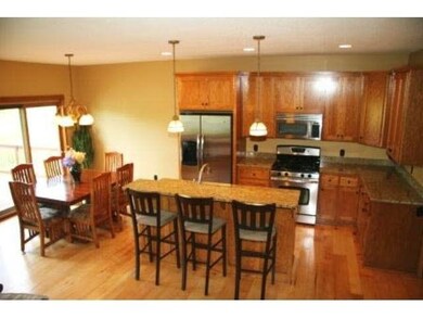 15602 Enfield Ave N, Hugo, MN 55038 - photo 4