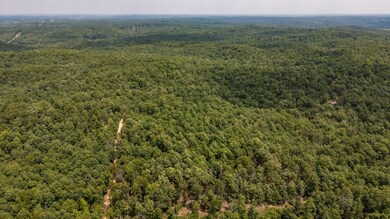 000 Highway Y, Elk Creek, MO 65464 - photo 4