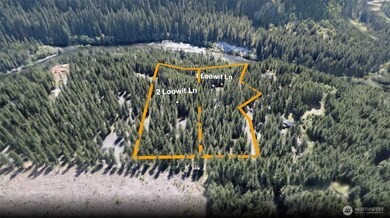 1 Loowit Ln, Cougar, WA 98616 - photo 2