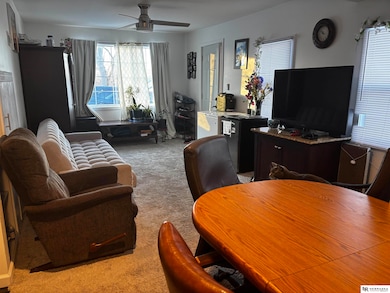 7343 Lake St, Omaha, NE 68134 - photo 4