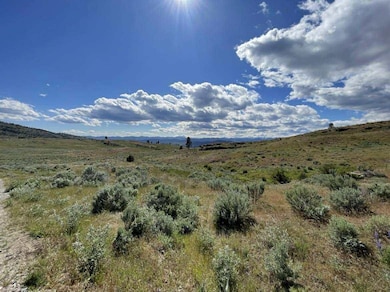 Lot K unit McLaughlin Canyon Rd, Janis, WA 98855 - photo 3