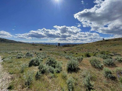 Lot K unit McLaughlin Canyon Rd, Tonasket, WA 98855 - photo 3