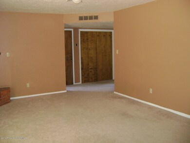 4105 Applewood Dr, Farmington, NM 87402 - photo 6