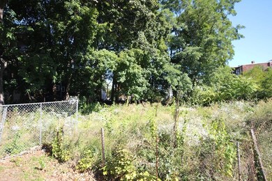 41 Woodville St, Boston, MA 02119 - photo 3