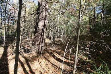 F 70th St, South Haven, MI 49090 - photo 3