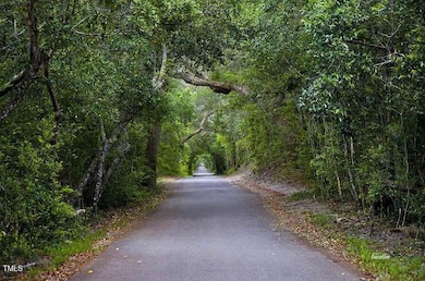 9 Laurel Cherry Ct, Bald Head Island, NC 28461 - photo 5