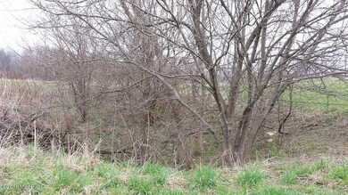 Low Spot
