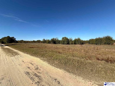 Lot 30 Norwood Farms, McBee, SC 29101 - photo 2