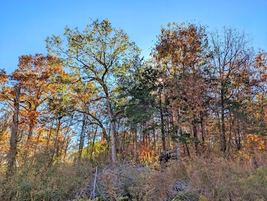 Lot 69&70 Bluebird Rd, Merriam Woods, MO 65740 - photo 2