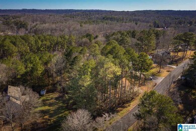0 Scenic Trail unit 21411084, Oneonta, AL 35121 - photo 7