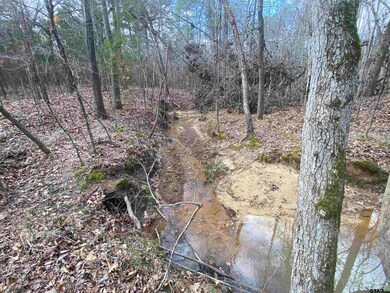 15292 Big Oak Bay Rd, Tyler, TX 75707 - photo 5