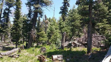 950 W Shale Cir unit ZVME E-129, Duck Creek Village, UT 84762 - photo 4