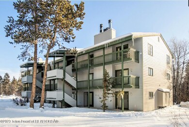Spruces 5