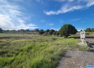 Lot 3 Copper Ridge Dr, Silver City, NM 88061 - photo 2