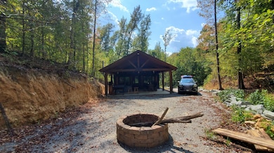 570 Beasley Hollow Rd, Linden, TN 37096 - photo 3