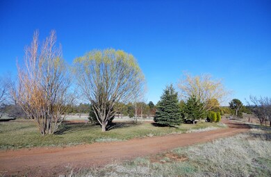 Fruit Trees