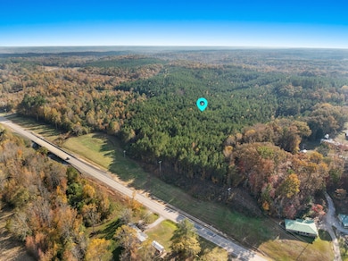 71 Acres Pikeville Rd, Fulton, MS 38843 - photo 2