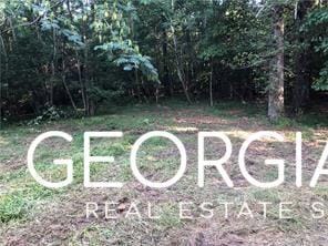 4143 Talking Rock Rd, Talking Rock, GA 30175 - photo 7