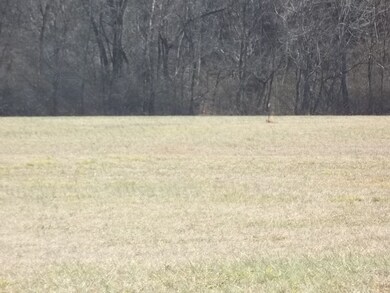 2164 Highway 82 S, Shelbyville, TN 37160 - photo 4