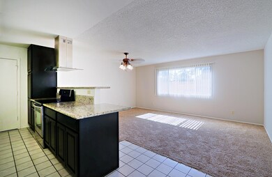 Kitchen and Family Room