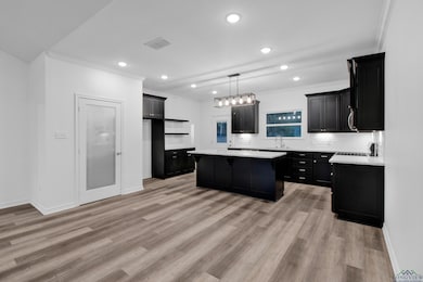 175 Heartland Trail, Diana, TX 75640 - photo 3