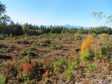 0 Wayne Rd W unit 1543223, Seabeck, WA 98380 - photo 5