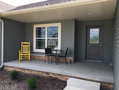 113 Dode, Downs, IL 61736 - photo 6