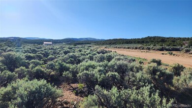 1691 Luke Rd, Fort Garland, CO 81133 - photo 5