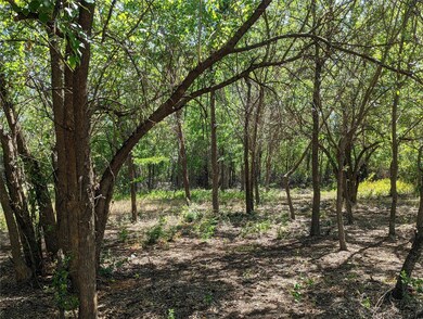 1053 Preserve St, Weatherford, TX 76085 - photo 6