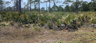 000 None, Grant Valkaria, FL 32950 - photo 3