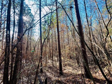 0 Miracle Temple Rd, Byhalia, MS 38611 - photo 6