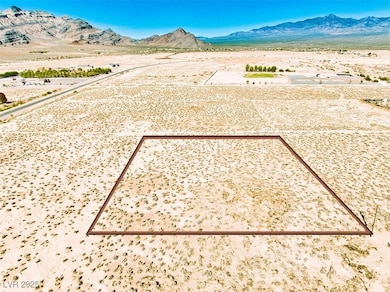 1911 W River Run St, Pahrump, NV 89060 - photo 4