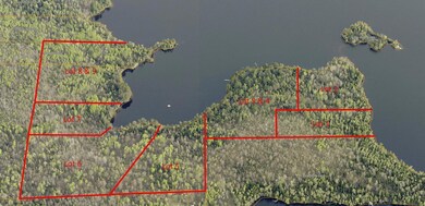 Lot 5 Wakemup Narrows N, Cook, MN 55771 - photo 4