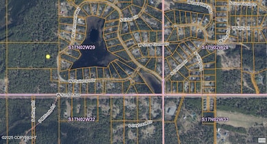 Borough Map photo aerial