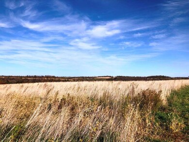 98.33 +/- acres Pikes Peak Rd, Potosi, WI 53820 - photo 5